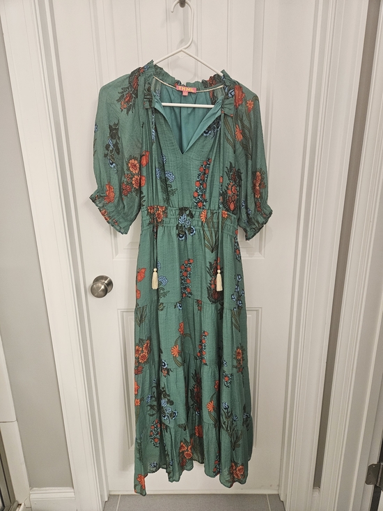 THML Dresses & Skirts - THML Green Floral Maxi Dress with Orange & Blue Accents